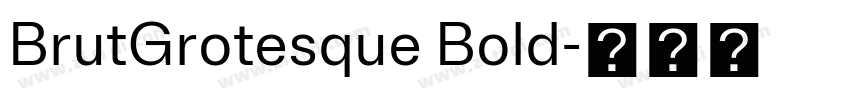 BrutGrotesque Bold字体转换 BrutGrotesque Bold字体转换